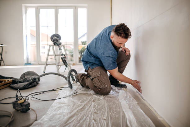 Best Drywall Sanding and Smoothing  in Rockwell City, IA