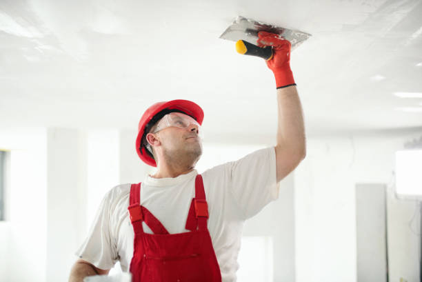  Rockwell City, IA Dry wall and painting Pros